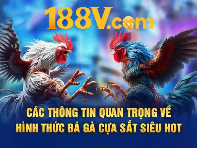Tổng quan chủ đề và giá trị cốt lõi