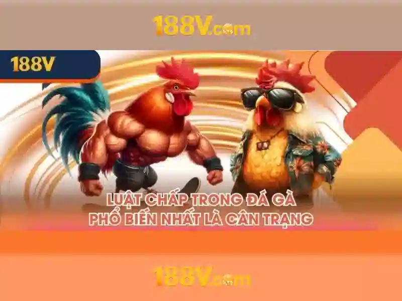 Khám phá 188v: ý nghĩa, nguồn gốc và ứng dụng