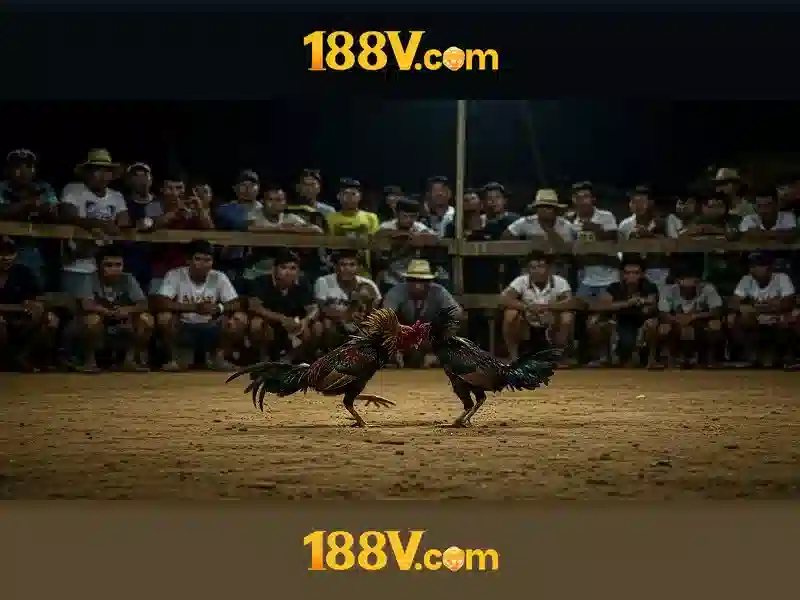 Trải nghiệm người dùng và nhận xét cộng đồng