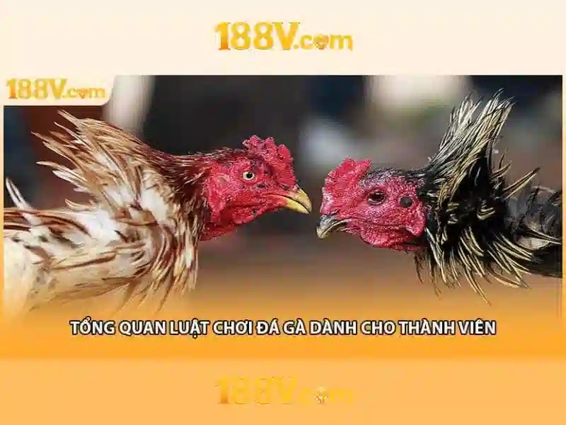 188v – Tổng quan, trải nghiệm và tiềm năng phía trước