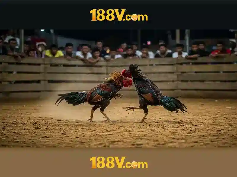 Định hướng tương lai và tầm nhìn toàn cầu của hướng dẫn 188v