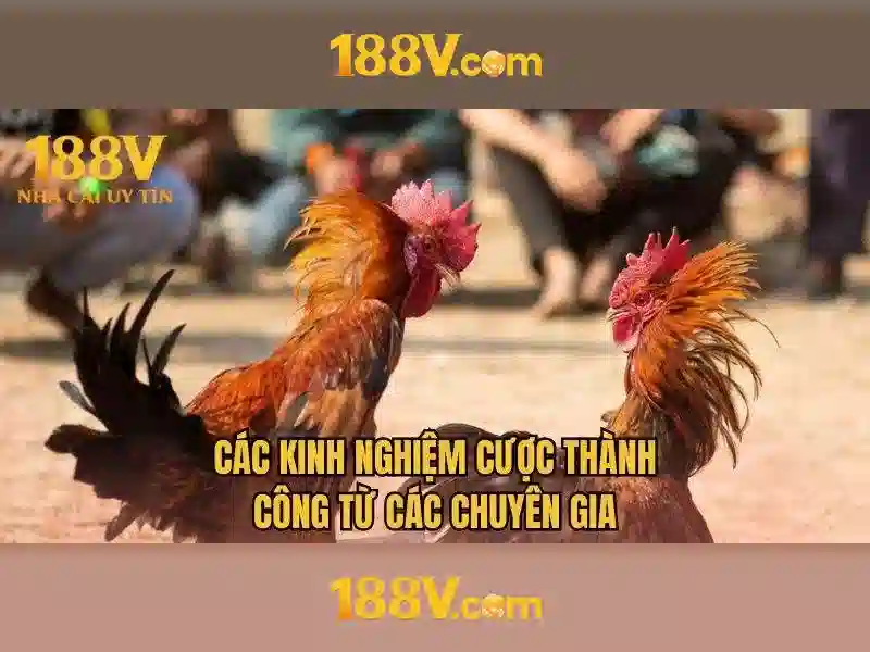 Hệ thống 188v là gì?