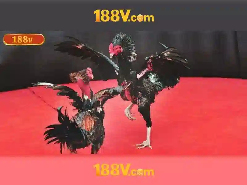 Cơ sở sản phẩm và dịch vụ – ứng dụng liên quan đến 188v dang nhap