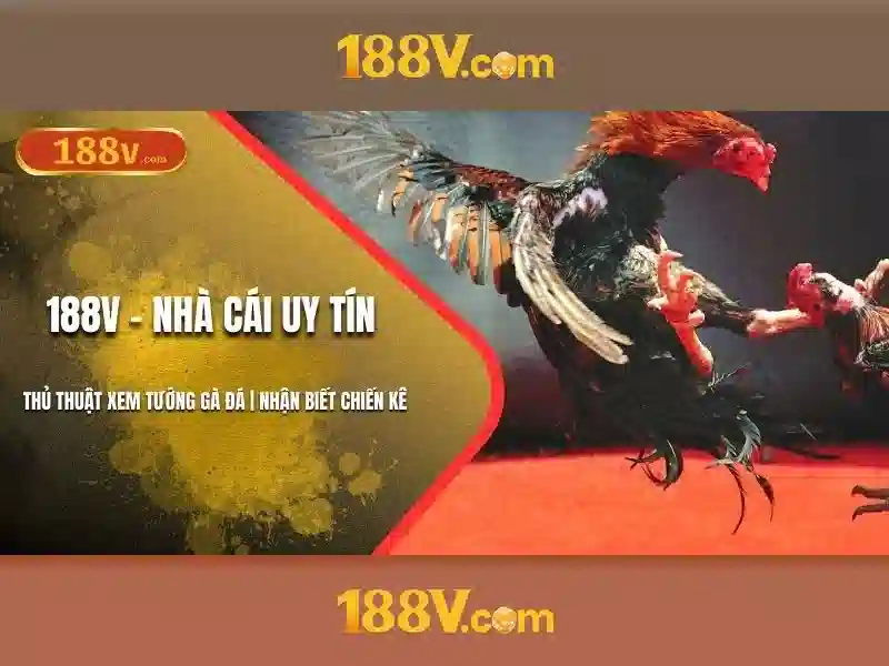 Khám phá 188V: định nghĩa và bối cảnh