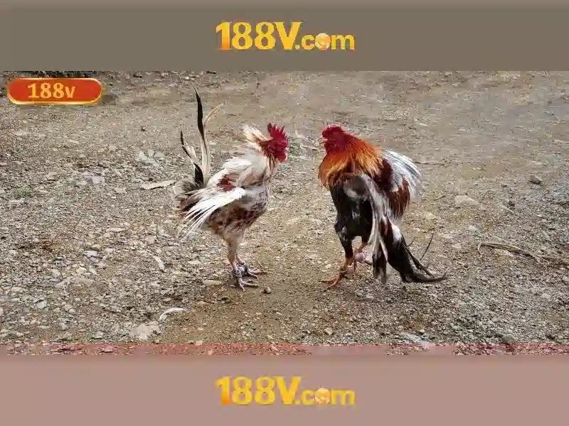 Khía cạnh công nghệ của 188v