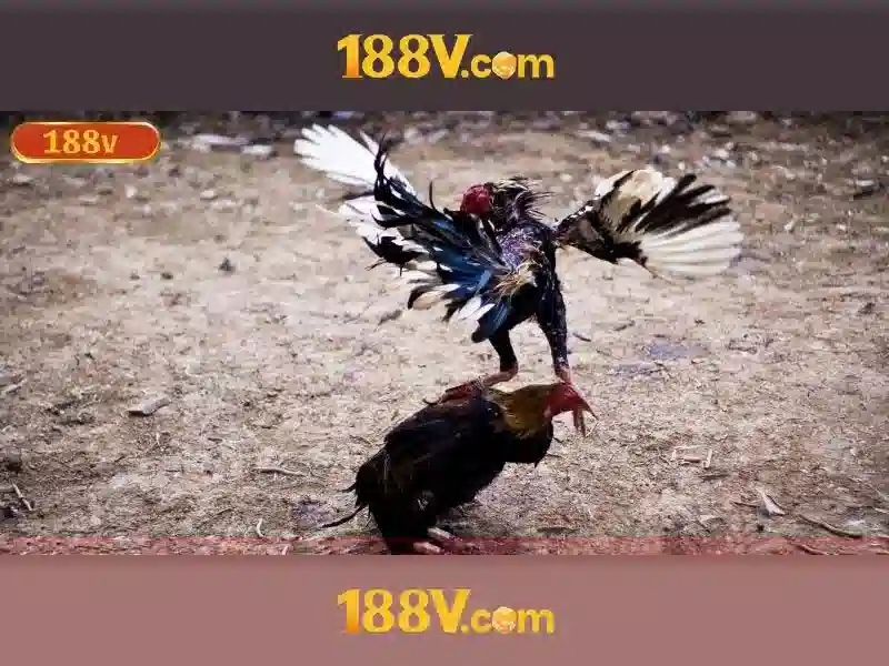 nhà cái 188v – tổng quan và giá trị cốt lõi\n