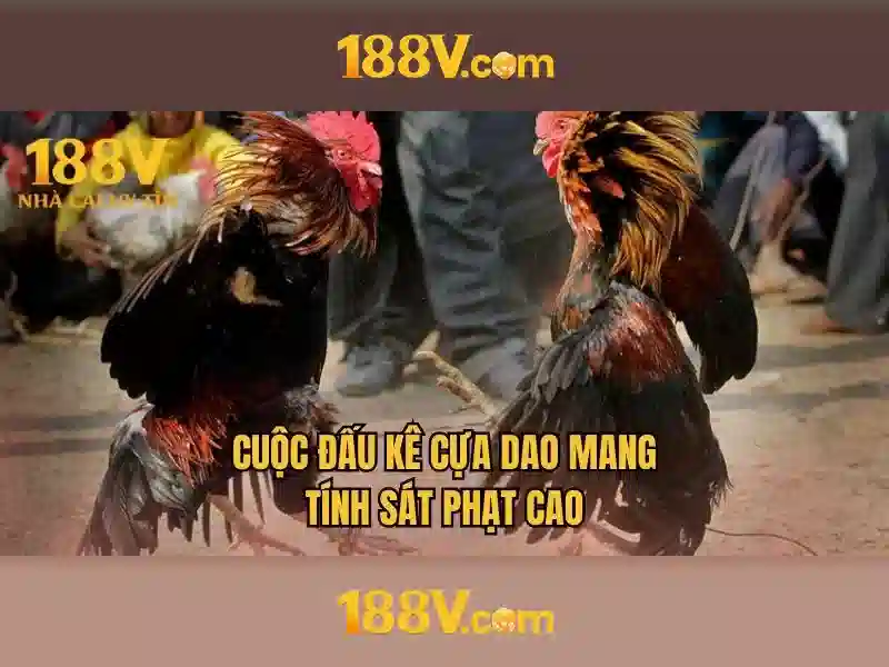 188v - một hành trình khám phá và ý nghĩa