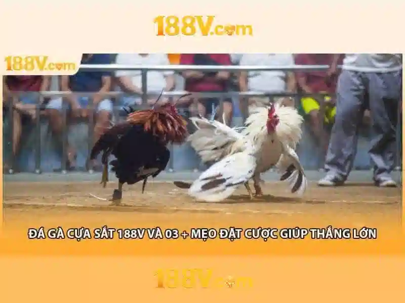 Ưu điểm và sức cạnh tranh