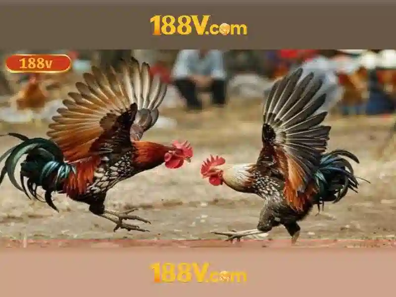 Tác động tới xã hội và giáo dục