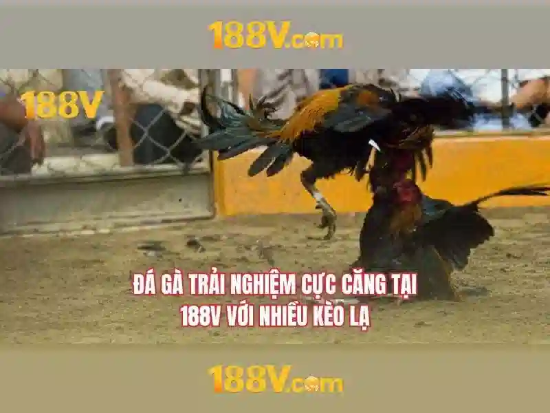 Khái niệm 188V