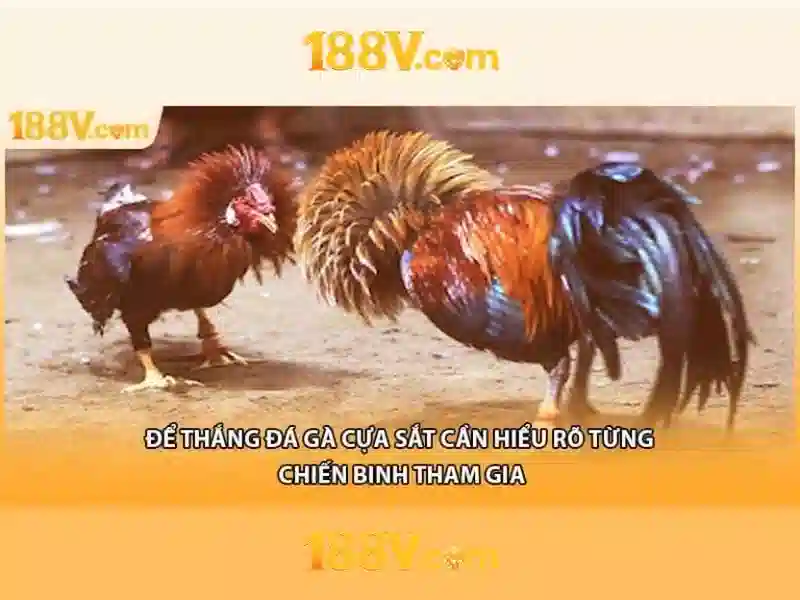 Ảnh hưởng đến hiệu suất và chi phí\n