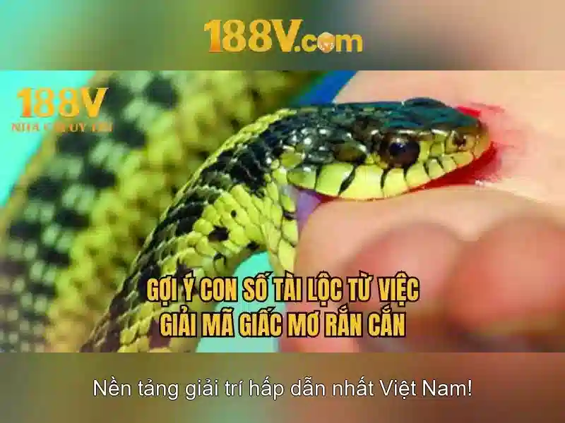 Giới thiệu về 188V
