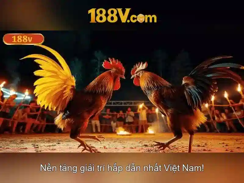 Tương lai của 188V