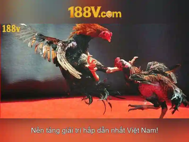 Nguồn gốc và ý nghĩa