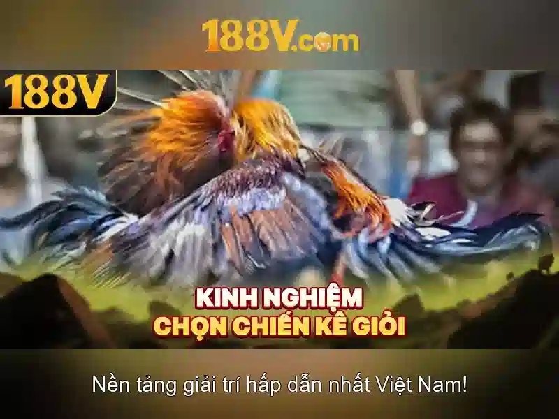 Đăng ký 188v - Hướng dẫn chi tiết và trải nghiệm đáng giá