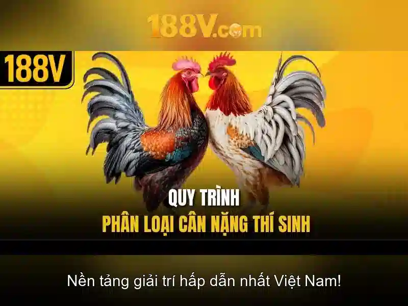 188v: một ký ức số qua thời gian