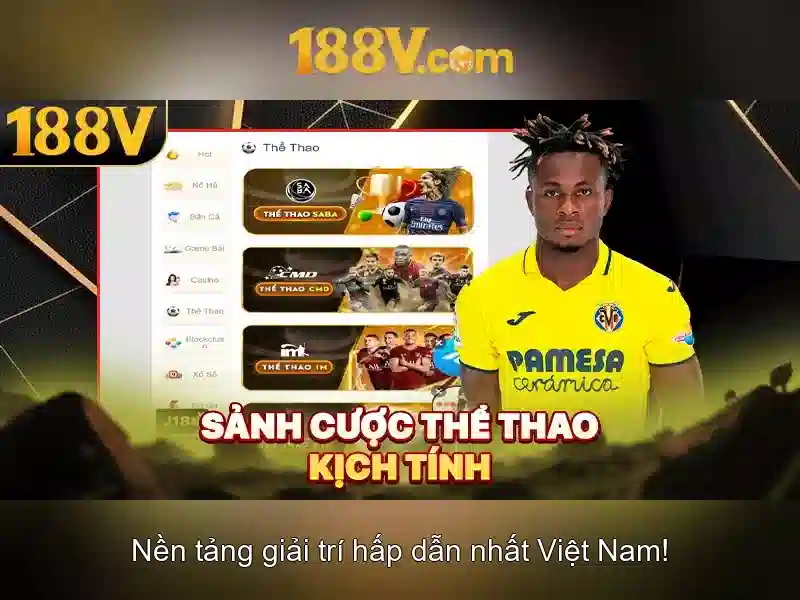 188V là gì? Khái niệm và tiềm năng