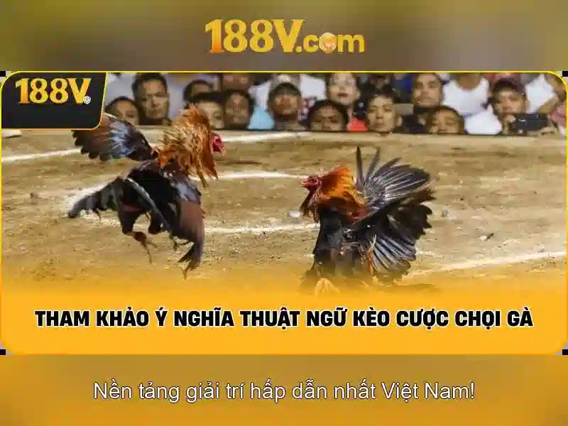Ung dung trong nghe thuat thi luc va am thanh\n\n