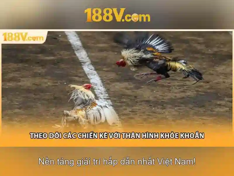 Tiềm năng và ứng dụng