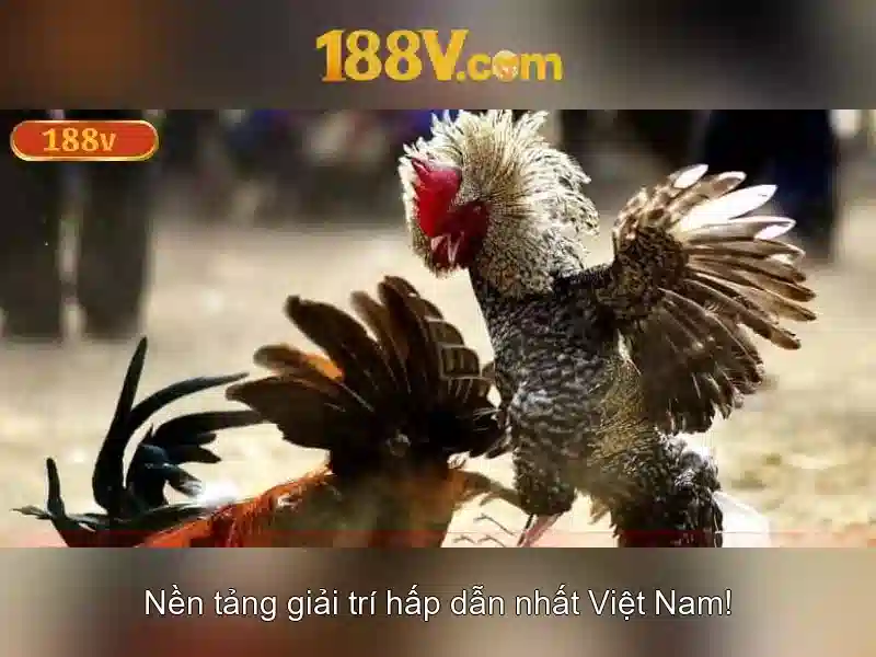 188V: Khái niệm, ý nghĩa và hành trình