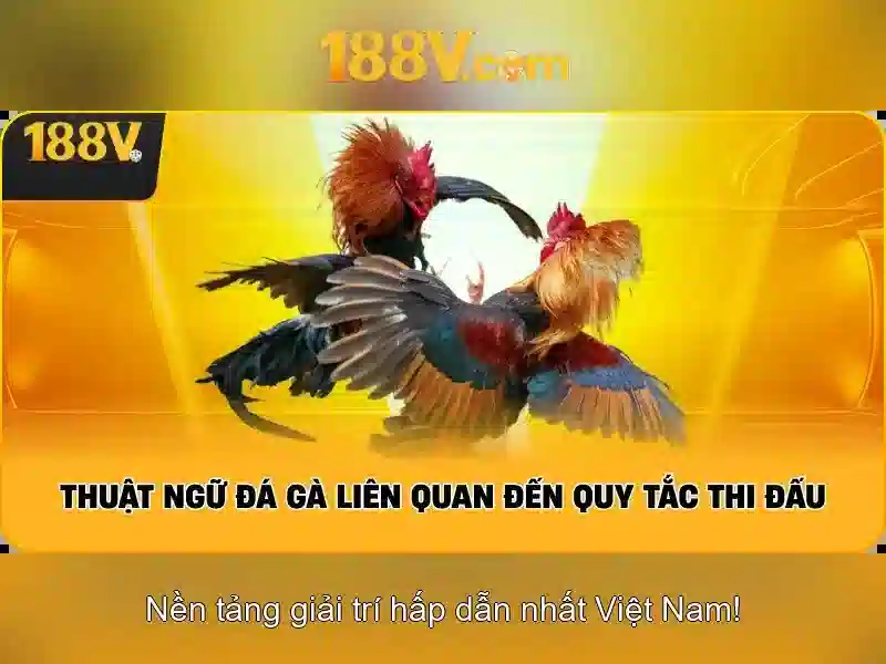 Nguồn gốc và ý nghĩa của 188v