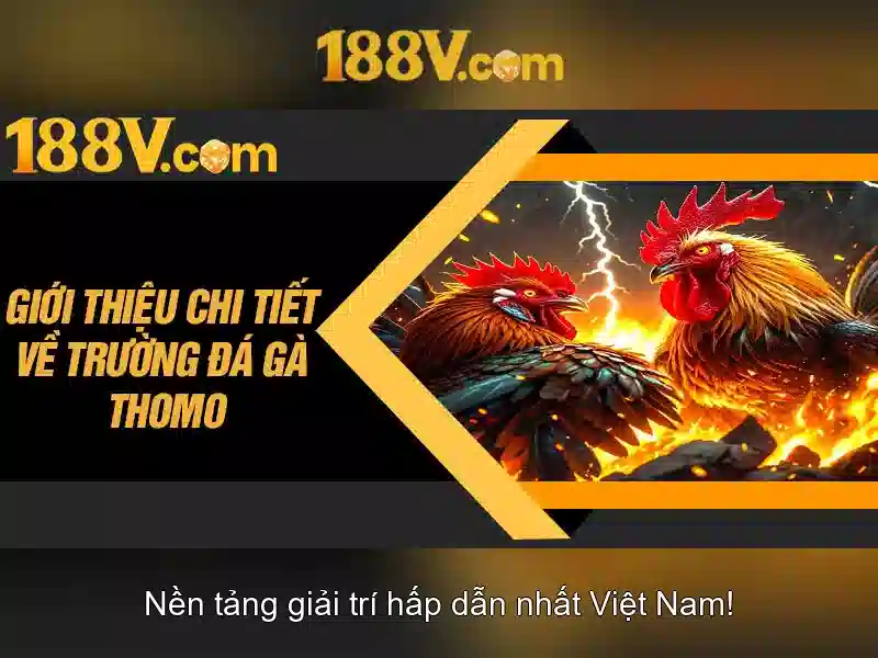 188V: một hành trình khám phá