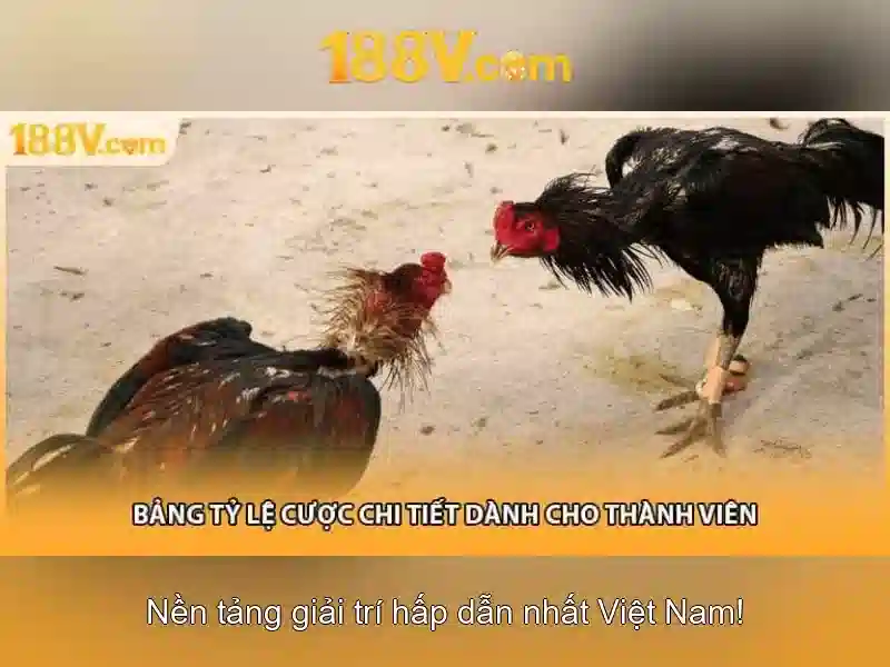 So sánh 188V và các mức điện áp phổ biến