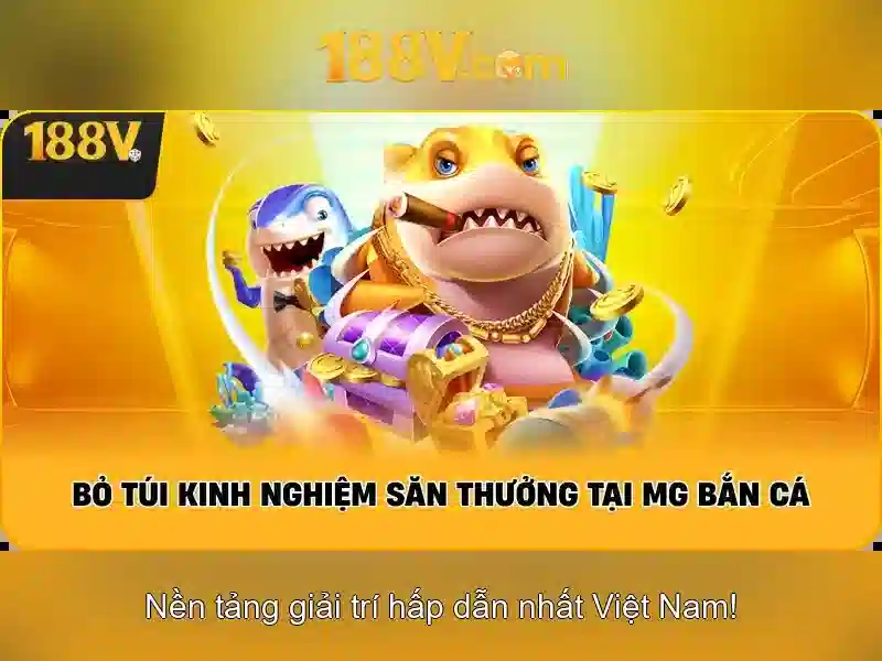 188v: Bí ẩn và hành trình khám phá
