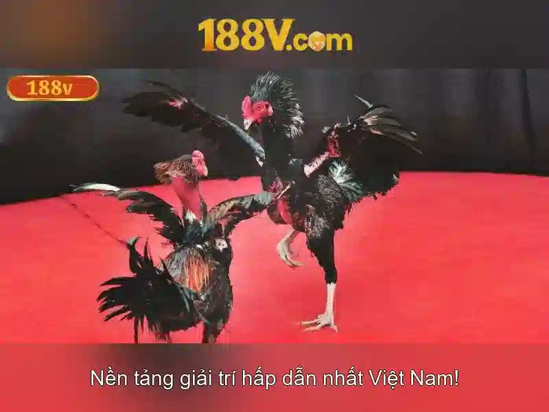 Định nghĩa và nguồn gốc của 188V