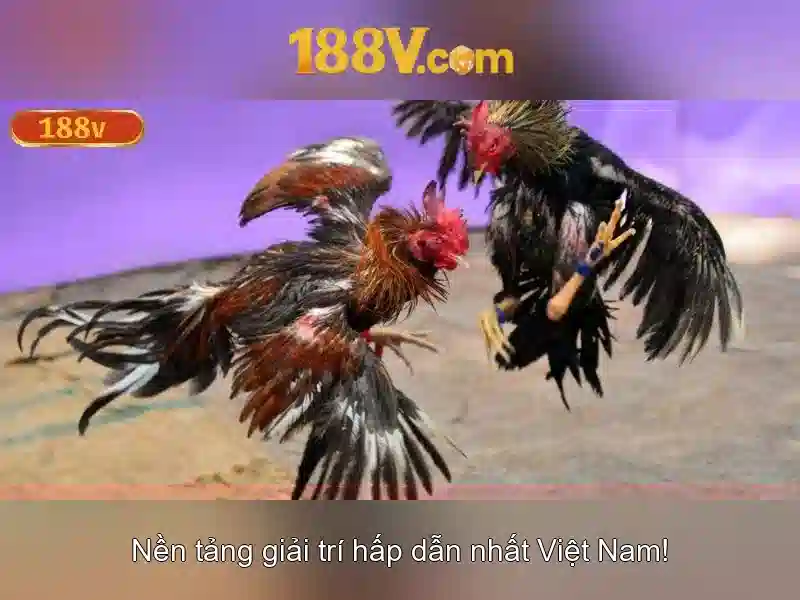 Nguồn gốc và ý nghĩa của 188v