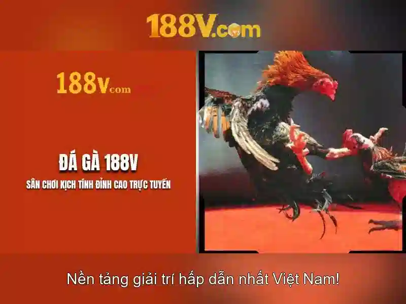 Khám phá 188v: khái niệm và ý nghĩa